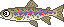 川釣り