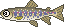 川釣り