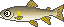 湖釣