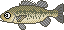 湖釣