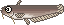 川釣り
