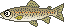 川釣り