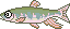 湖釣