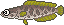 湖釣