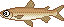 湖釣