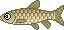 湖釣