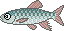 川釣り