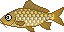 湖釣