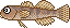 川釣り